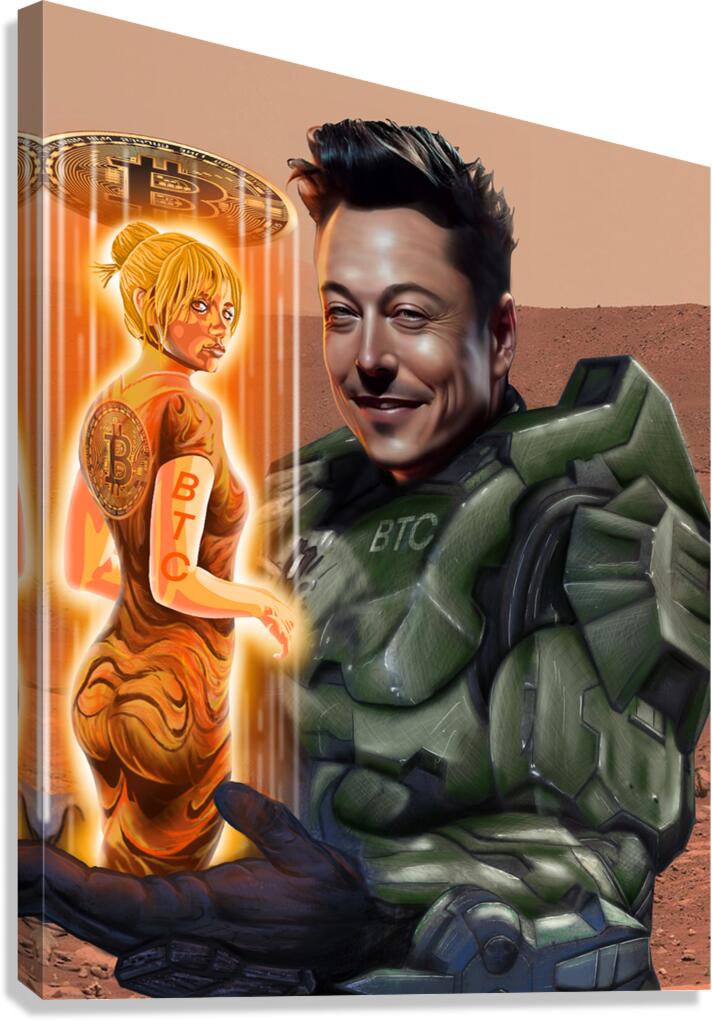 MASTERCHIEF ELON